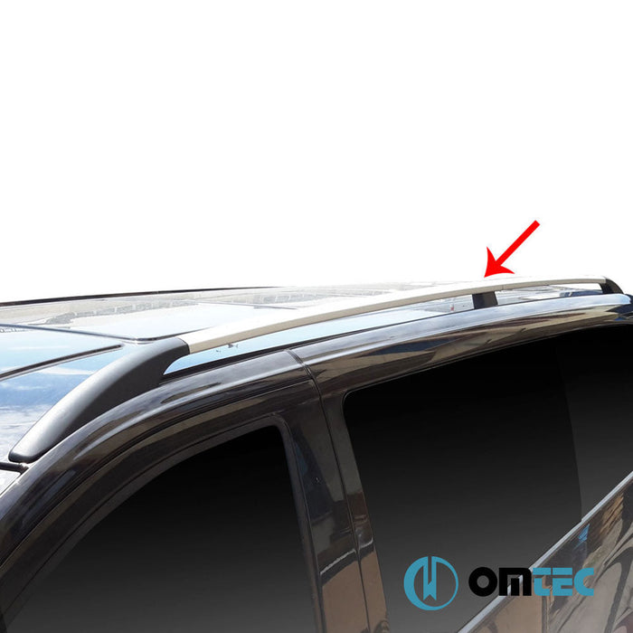 Portbagaj Tavan Çıtası (Solid - Vidalı Montaj) Gri 2 Prç. Alu. (L2) - Ford Transit Connect - MVN P65 - (2002 - 2014)