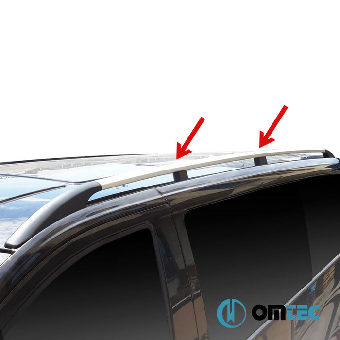 Portbagaj Tavan Çıtası (Solid - Vidalı Montaj) Gri 2 Prç. Alu. (L2) - Ford Transit Connect - MVN SB -  (2021 - )